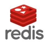 Redis 